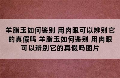 羊脂玉如何鉴别 用肉眼可以辨别它的真假吗 羊脂玉如何鉴别 用肉眼可以辨别它的真假吗图片